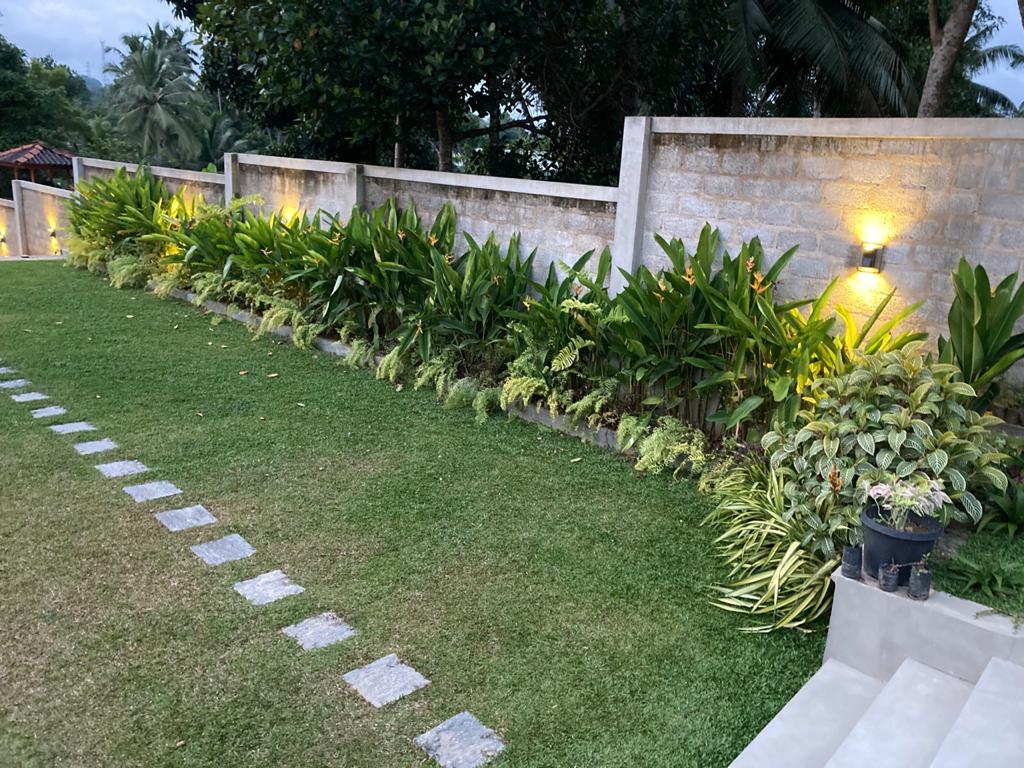 Garden path beside tropical planting and warm wall lights