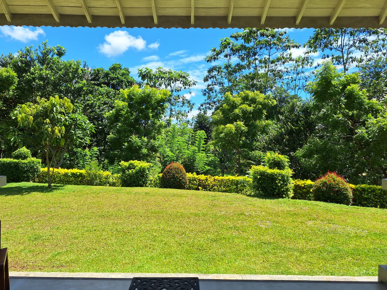 Wide lawn and clipped tropical garden beneath a blue sky